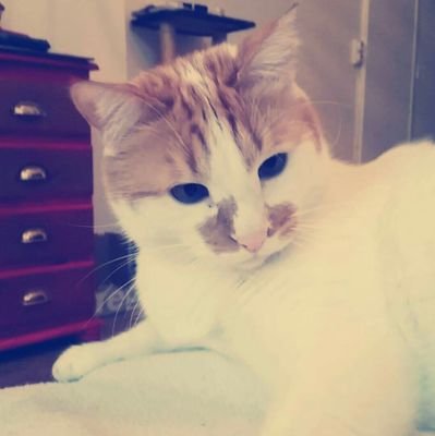 FrancineVacance's profile picture. 