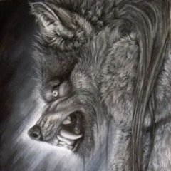 Lefthandedさんのプロフィール画像