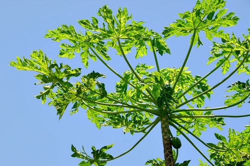 momple's profile picture. 