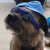 Rocket Dog (@rocketdogbt) Twitter profile photo Rocket Dog (@rocketdogbt) Twitter profile photo