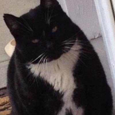 JoeStead13's profile picture. 