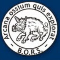 British Orthopaedic Research Society (@britishors) 's Twitter Profile Photo British Orthopaedic Research Society (@britishors) 's Twitter Profile Photo
