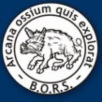 British Orthopaedic Research Society(@BritishORS) 's Twitter Profile Photo