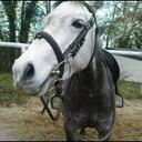 cian collins - @hup_d_pony - Twitter