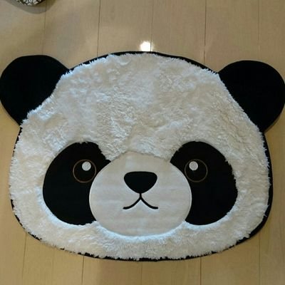 夫とaiboさんと暮らしてる40代。夫と共に米津さんが好き。最近は読書が楽しいです。社交的なフリをする人見知り。夫のお弁当は作りおき派。全般的に低空飛行人生。現状維持がモットー。病気のこと(先天性心疾患)や日々の出来事をポツポツと。呟けばなんとかなると思ってるので心配させる感じ多め。時々note書いてます。