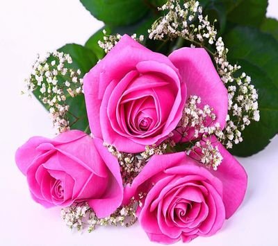 I want to live happy life