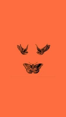 onedbestfans10's profile picture. 