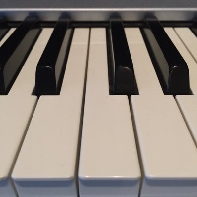 30 year pro audio/video musical instrument executive. Singer-songwriter (BMI) , multi-inst, a/v studio owner. Indie/corporate/music filmmaker/dp/editor/mixer.