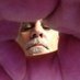 Dag Nabbit (@howdydootyhead) Twitter profile photo Dag Nabbit (@howdydootyhead) Twitter profile photo
