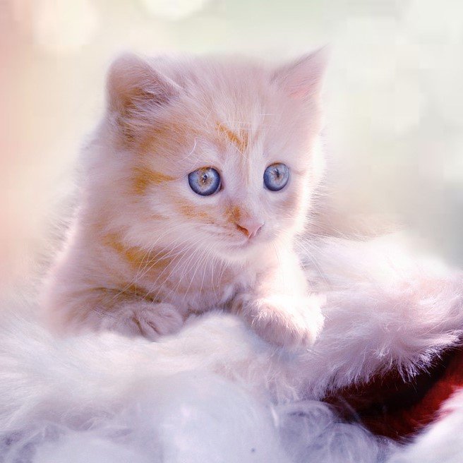 fooolbit's profile picture. トレード大好き😍

 #FX #投資 #副業