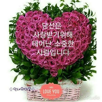 8409aass's profile picture. 예쁘이