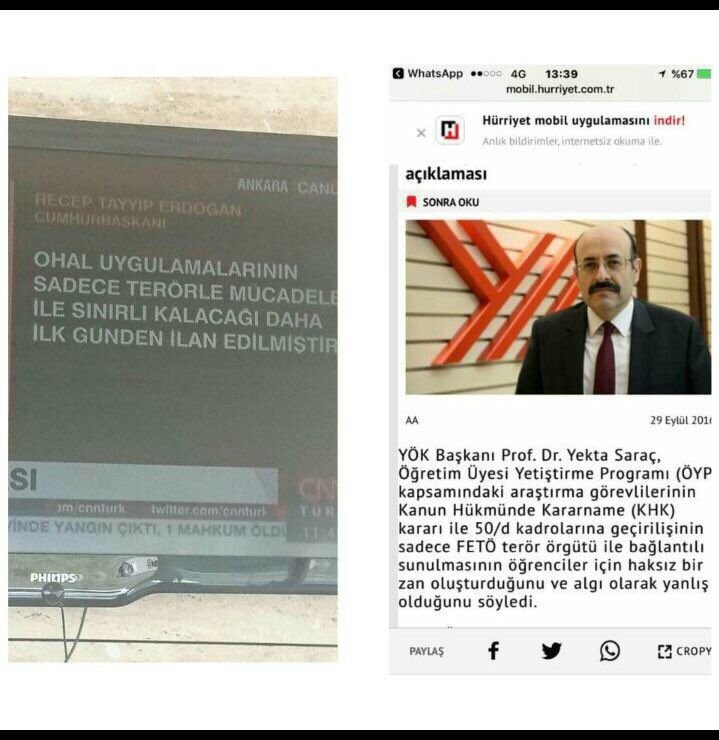 oyp15bin's profile picture. 