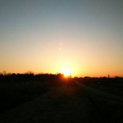 お年頃の女の子 Sex Anan Love Twitter