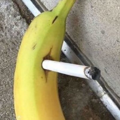 toastupstairs's profile picture. i dont know who this asshole is