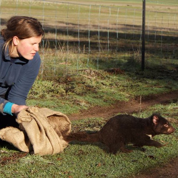 Australian conservation ecologist, recently moved to Chile.