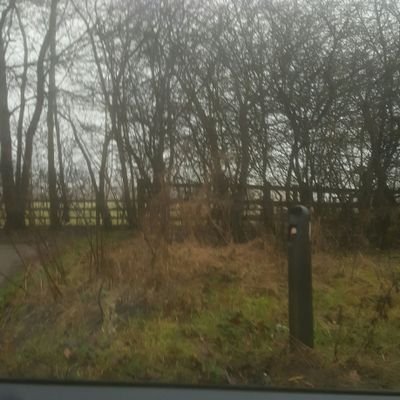 GEM__chem's profile picture. pls follow us on our new twitter account