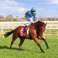 Gilgai Farm (@gilgaifarm) 's Twitter Profile Photo Gilgai Farm (@gilgaifarm) 's Twitter Profile Photo