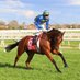 Gilgai Farm (@gilgaifarm) Twitter profile photo Gilgai Farm (@gilgaifarm) Twitter profile photo