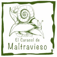 Caracol Maltravieso(@CMaltravieso) 's Twitter Profile Photo