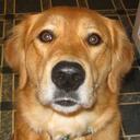 Kaitlin Summers - @KSums - Twitter