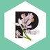 The Pollinators (@the_pollinators) Twitter profile photo The Pollinators (@the_pollinators) Twitter profile photo