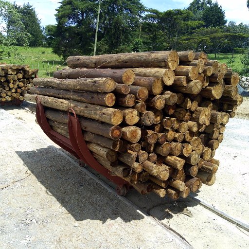 We sell treated posts and poles. We also offer wood treatment services. Call us 0718200344