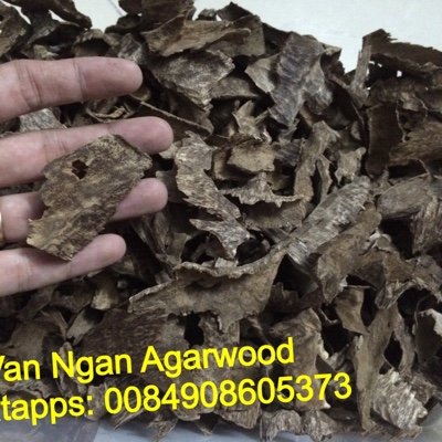 we are Van Ngan agarwood, which supply agarwood (oud) origin from Vietnam. Esspecially Oud chips, bracelets, oud oil, premium incense. whatapps: +84908605373