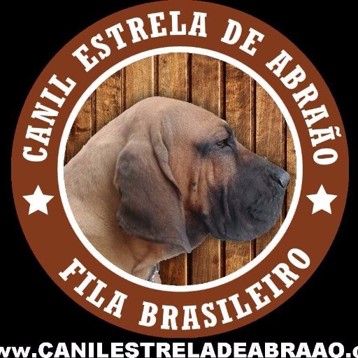 EstreladeAbraao's profile picture. Proprietário do CANIL ESTRELA DE ABRAÃO e super dedicado em tudo que faço!
Criador da raça FILA BRASILEIRO o verdadeiro cão de guarda! Whatsapp 31985823929