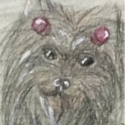 t_shinkoiwa's profile picture. 海に行きたいぞー