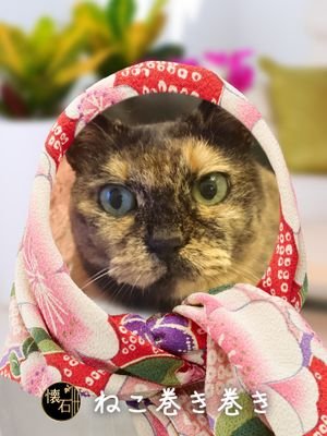 candy oさんのプロフィール画像
