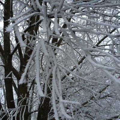 NickHarker2's profile picture. 