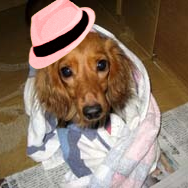 kitaqman's profile picture. 今日も笑顔、一期一会で・・・街ぶら観光遊び人です。  世界遺産ガイド、産業観光、工場夜景ナビゲーターもしています。 北九州市へお越しください！