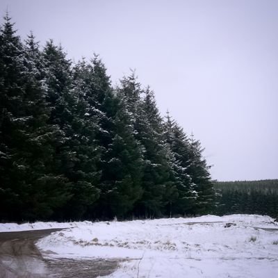 ofmountains_and's profile picture. Ecogothic, ecocriticism, and the gothic in literature and photography.

Blog: https://t.co/XzT9du3fMM

Personal account: @natalie_rosy