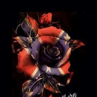 Michael08454909's profile picture. 