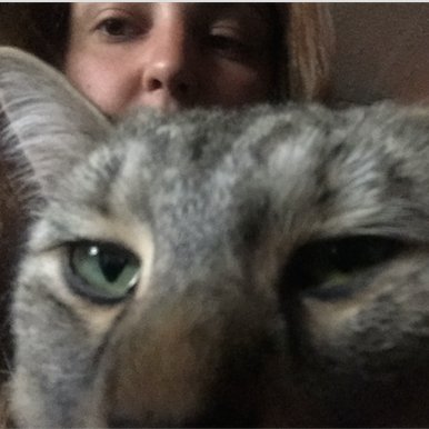 kati_schaeffer's profile picture. 