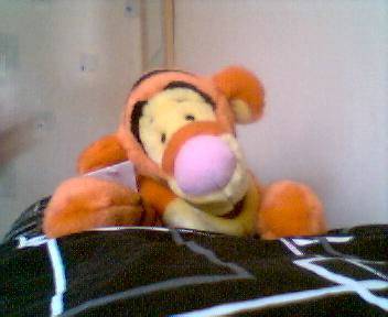 TonyK81's profile picture. Me Self and I, Good time Partie Boi who works hard and plays harder ... Bit of a Biker Boi ! Like a Drink or Two :oP