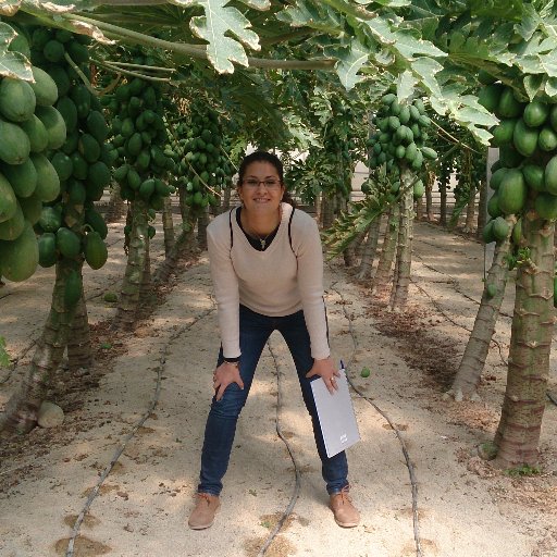 Ingeniería Agroalimentaria y del Medio Rural-Máster en olivicultura y elaiotecnia - estudiante de doctorado