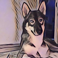 vicgodard (@vicgodard2) 's Twitter Profile