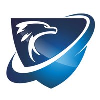 Falcon Eye Dash Cam (@falconeye_) Twitter profile photo