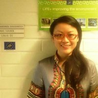 Liuliu Du-Ikonen(@Liuliu_Du) 's Twitter Profile Photo