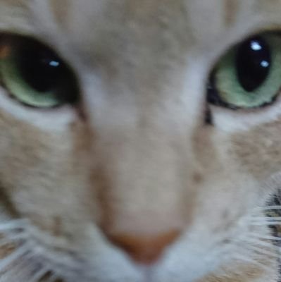 7afe8cea463b405's profile picture. 