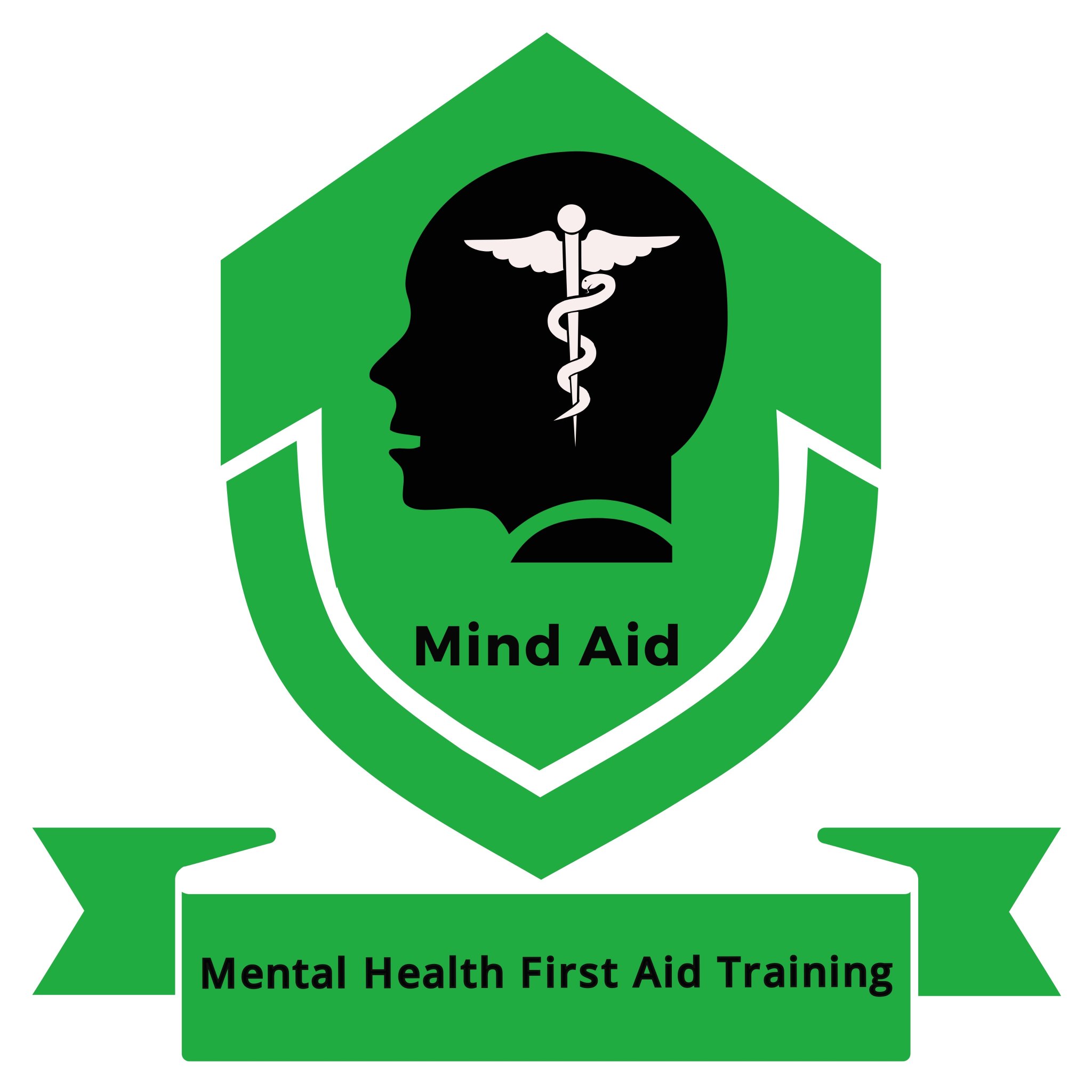 Mind Aid provides internationally recognised Mental Health First Aid Training