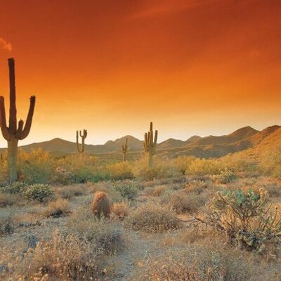 profiles arizona phoenix profiles arizona phoenix