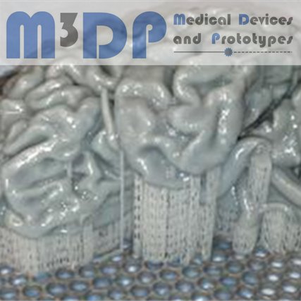 M3DP_Team's profile picture. From DICOM to physical model | 
Patient specific medical phantoms and prototypes | Your partner in research and development | #MedicalPhantoms #PIVphantoms