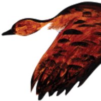 TulareBasinWatershedPartnership (@tularebasin) 's Twitter Profile