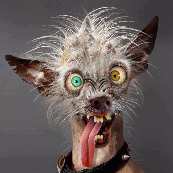 IaUvY1Upm0XkF0X's profile picture. Всё круто