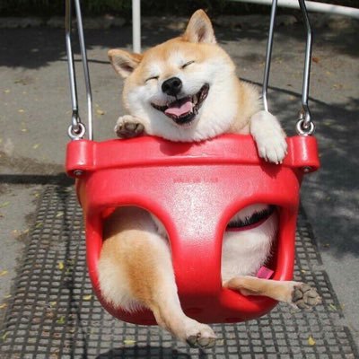 あさんのプロフィール画像