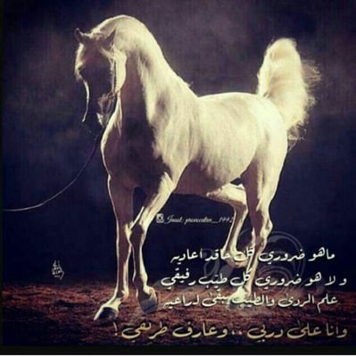 الحمدلله حمدا كثيرا طيبا مباركا فيه
