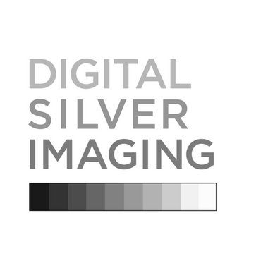 Digital Silver