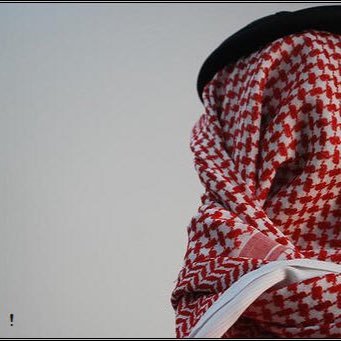 YVODnpxM463oXwc's profile picture. 